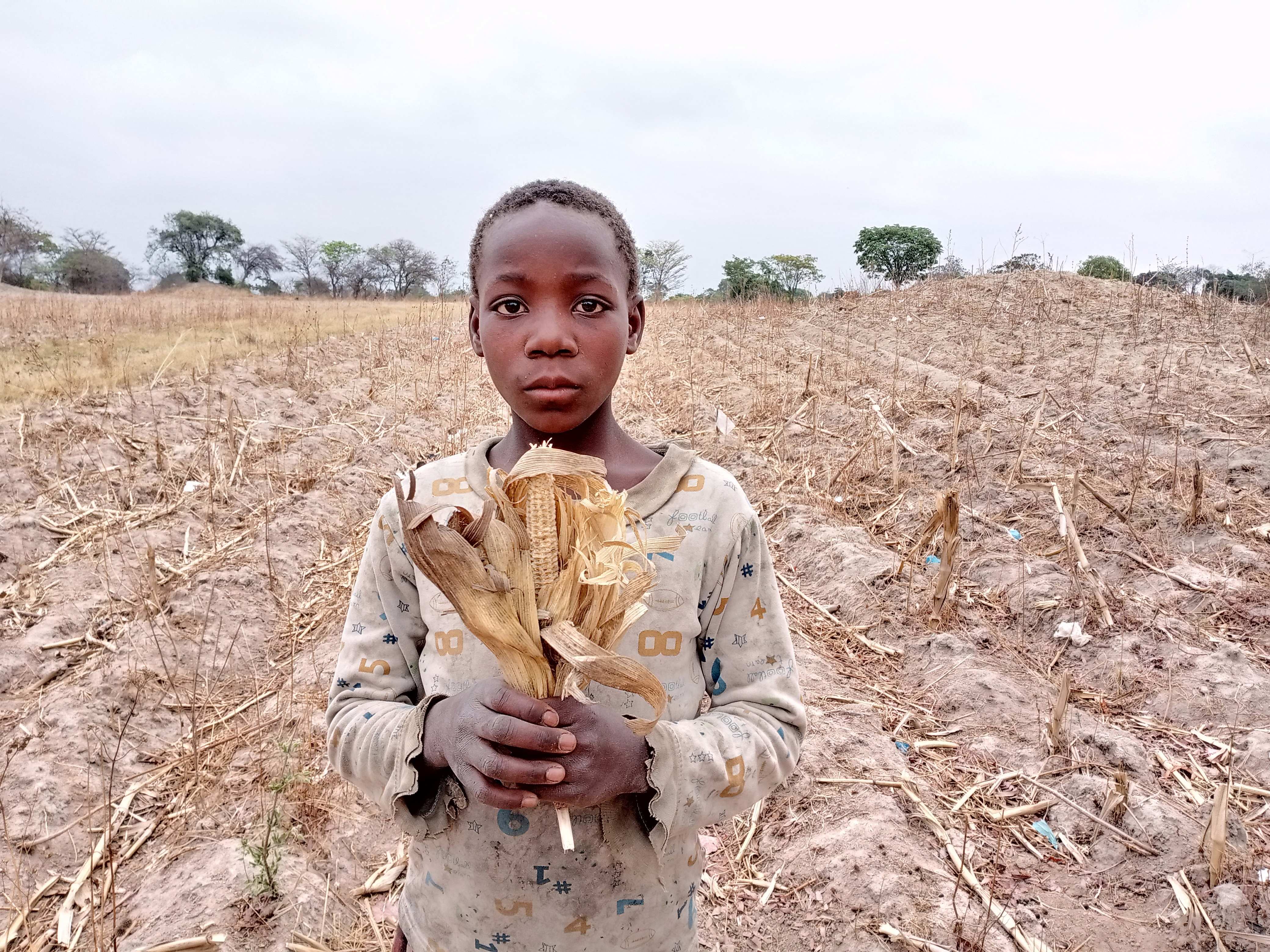 Verdorrte Ernten verstärken die Armut der Familien und den Hunger der Kinder (Foto: Kindernothilfepartner)