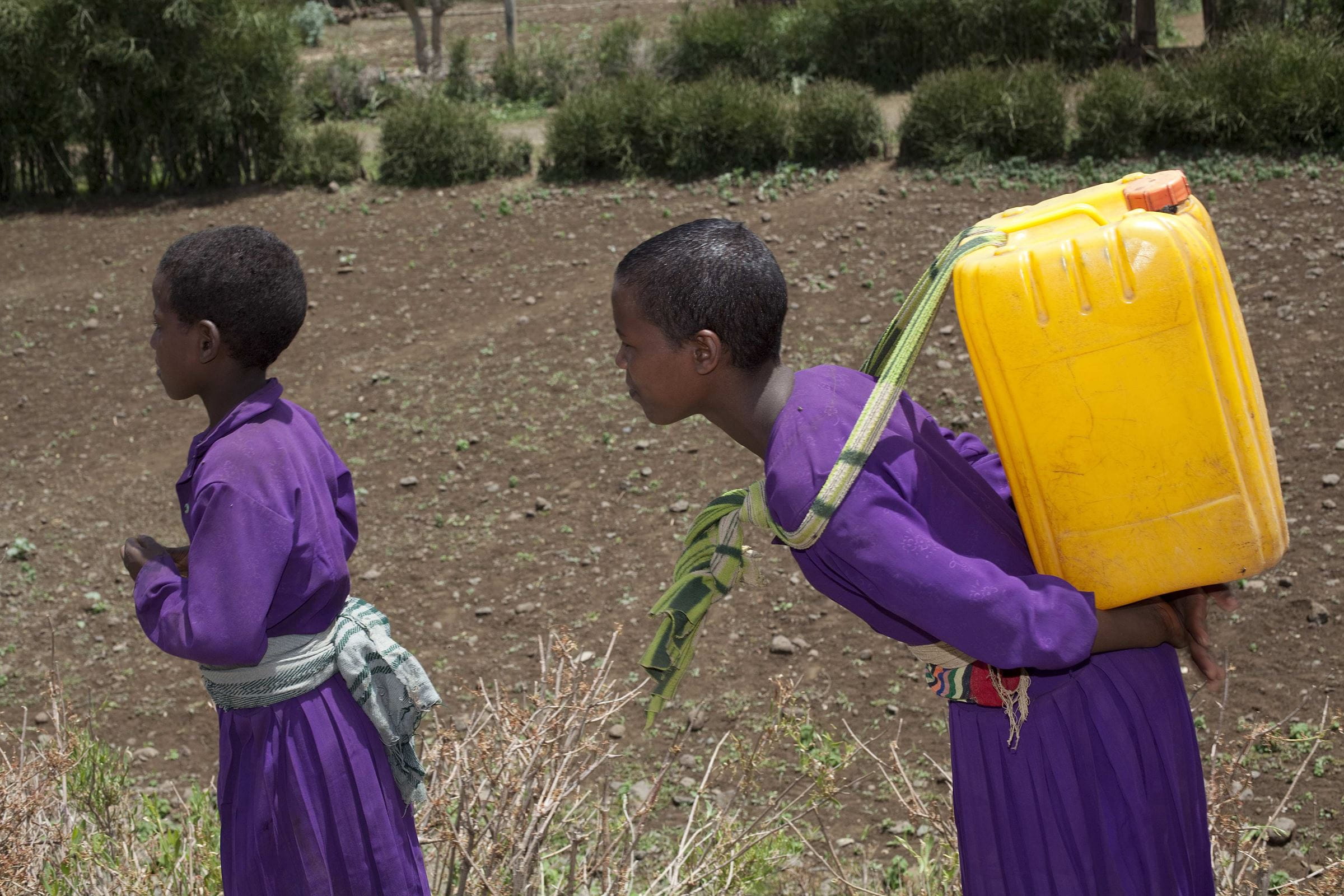 Mädchen trägt Wasserkanister - Humanitäre Hilfe für Dürreopfer in Äthiopien; Gelber Wasserkanister, Mädchen in violetter Kleidung, Feld, Dürre, Trockenheit Mädchen trägt Wasserkanister - Humanitäre Hilfe für Dürreopfer in Äthiopien; Gelber Wasserkanister, Mädchen in violetter Kleidung, Feld, Dürre, Trockenheit