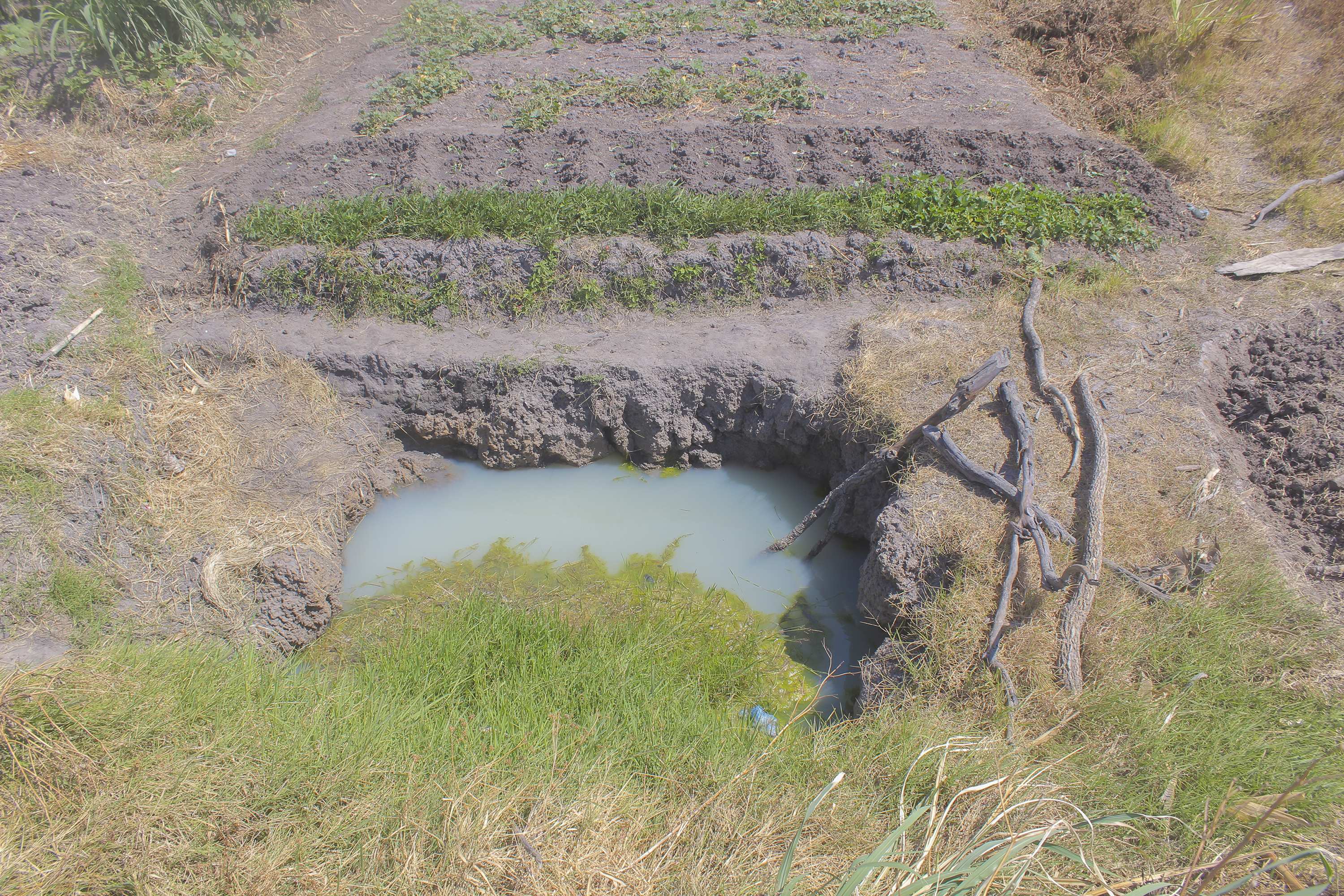 62294 Wash Projekt KNH Luxembourg